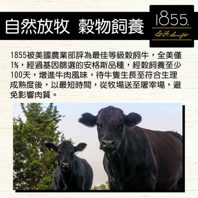 【上野物產】1855巨無霸霜降牛排 ( 450g±10%/片 ) x3片