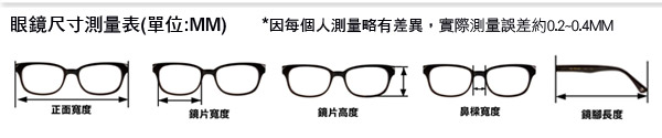 RAY BAN太陽眼鏡 時尚復古圓框/金-粉水銀#RB3447N 001Z2 50mm