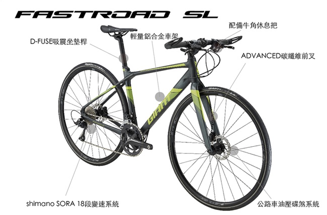 (無卡分期-12期)GIANT FASTROAD SL 2