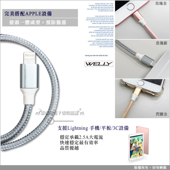 WELLY iPad pro Air Lightning 二代編織線-30CM