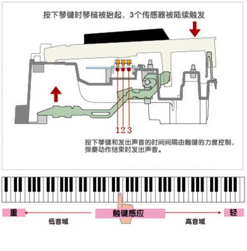 【福利品】CASIO PX350M-WE 88鍵電鋼琴 典雅白色款