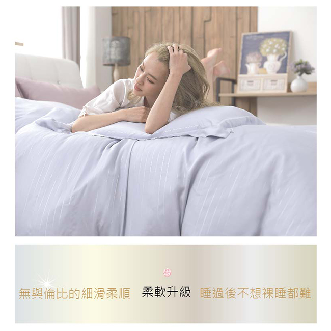 LASOL睡眠屋-100%奧地利天絲 雙人兩用被床包四件組自然純色薰衣草灰