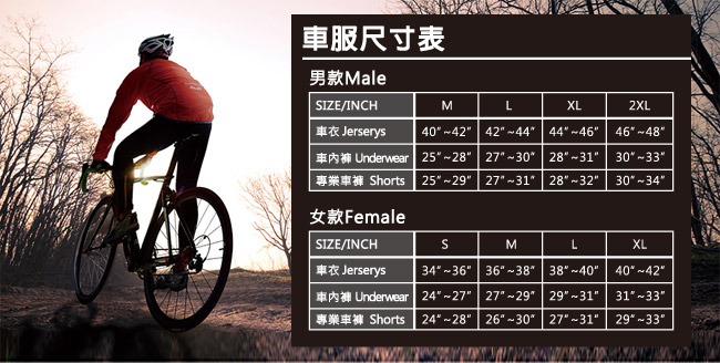 《Atunas Bike》歐都納 單車 B21002W 女專業七分褲 灰