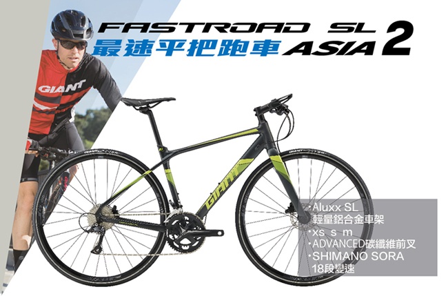 (無卡分期-12期)GIANT FASTROAD SL 2