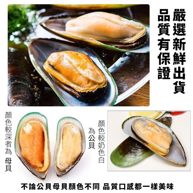 (滿699免運)【海陸管家】紐西蘭半殼淡菜原裝盒(每盒800g/26-30顆) x1盒