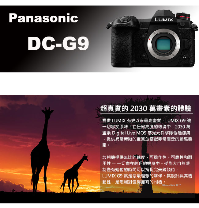 Panasonic G9 單機身(平輸)