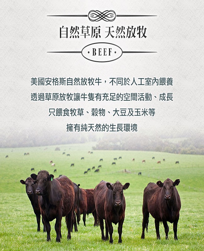 (任選)愛上新鮮-巨無霸霜降沙朗牛排(PRIME級/16盎司/450g±10%)