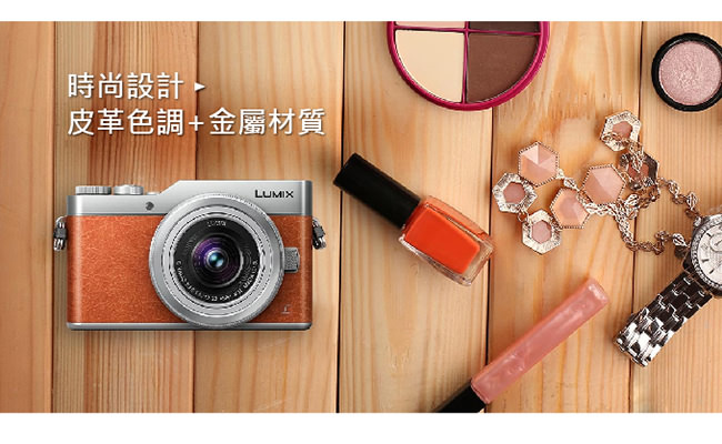 Panasonic Lumix DC-GF9 單機身*(中文平輸)