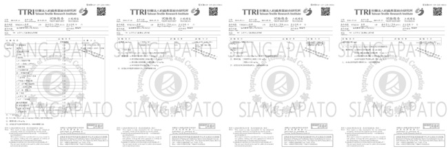 翔仔居家 天絲特大兩用被套床包組(小步舞曲) 親膚涼爽 台灣製