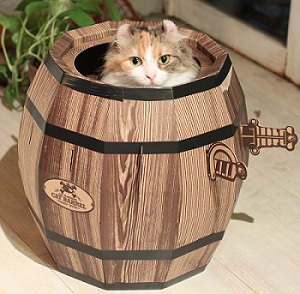 賽先生科學Cat barrel 瘋狂貓咪桶 (貓咪玩具屋)