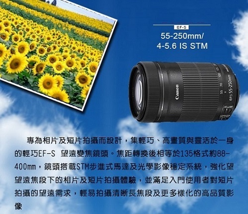 Canon EF-S 55-250mm F4-5.6 IS STM (平輸) 彩盒| CANON | Yahoo奇摩