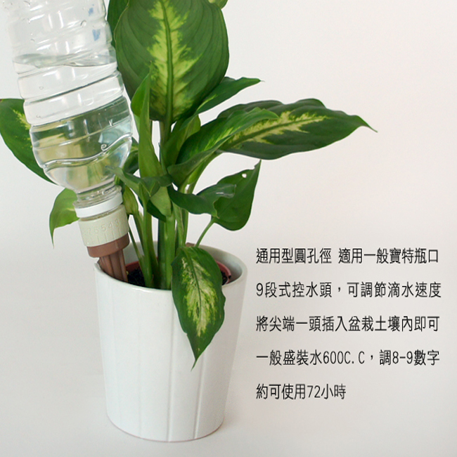 生活King 盆栽自動澆水器1組3入