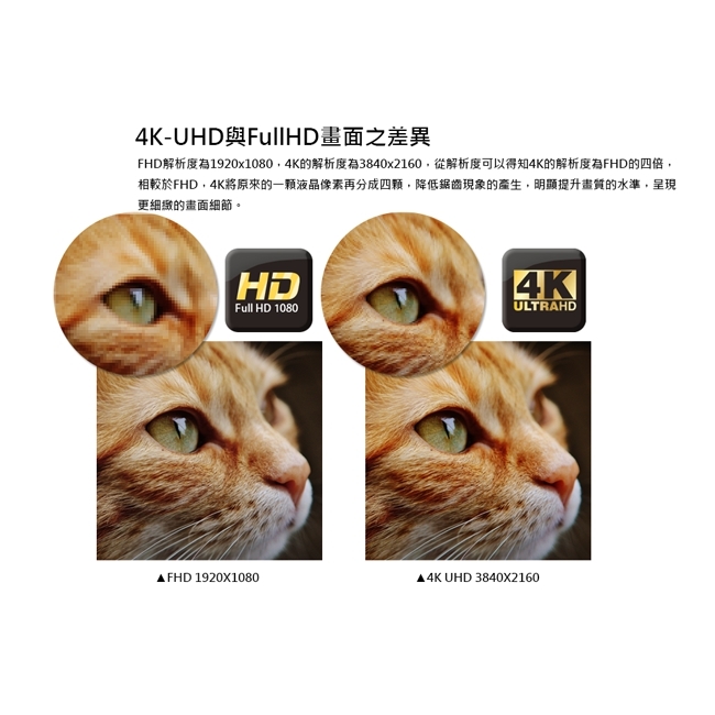 DigiKing 數位新貴55吋真４Ｋ UHD LED液晶+數位視訊盒 YC-5565