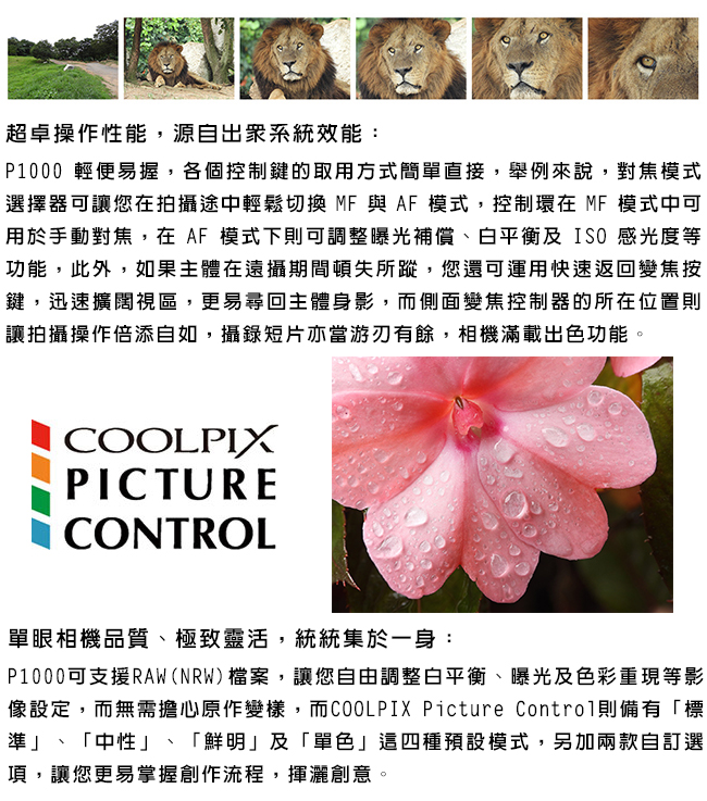 NIKON COOLPIX P1000 125倍光學變焦4K望遠類單眼*(中文平輸)