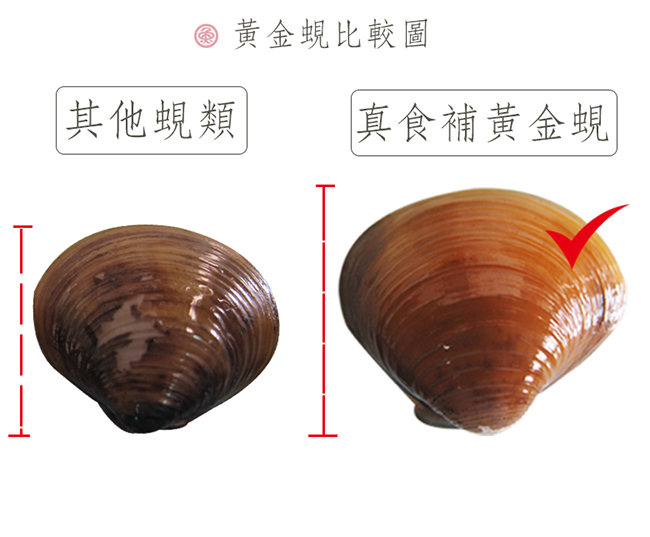 真食補 全方位營養組-原味滴雞精5入+鮮滴鱸魚精5入+滴蜆精5入(70ml*15入/盒)