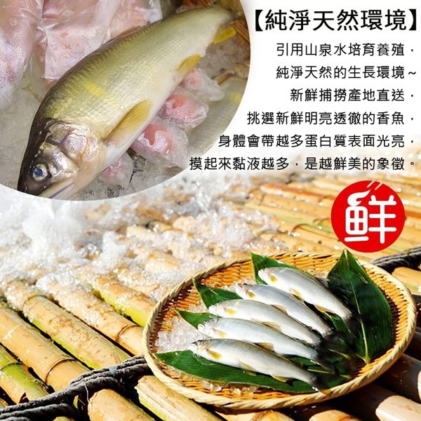 買1送1【海陸管家】特選宜蘭帶卵母香魚共2盒(每盒10尾/共約1kg)