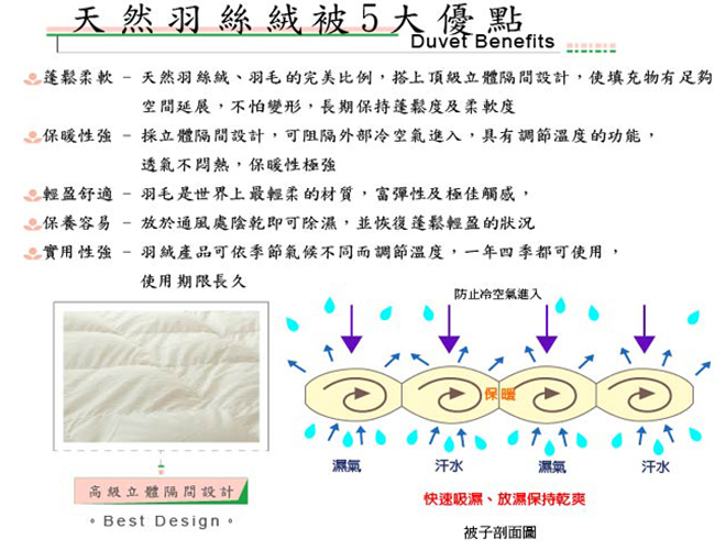 FOCA90/10立體隔間100%水鳥羽絲絨被-雙人6x7呎 (台灣製)