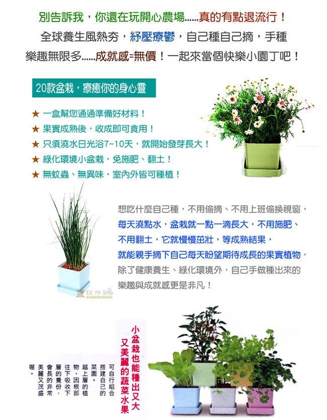 iPlant積木農場-櫻桃蘿蔔