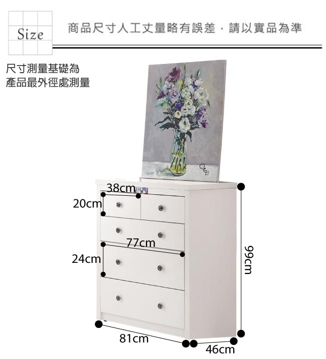 綠活居 羅彼時尚2.7尺五斗櫃/收納櫃(二色可選)-81x46x99cm免組