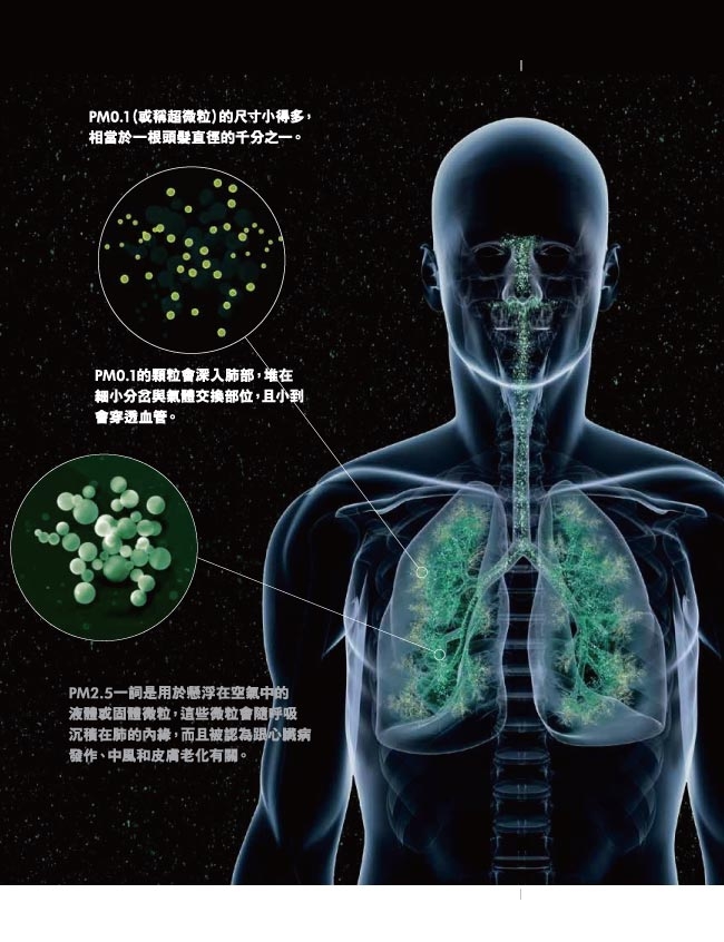 Dyson戴森 Pure Cool 二合一涼風扇空氣清淨機 TP00 科技藍