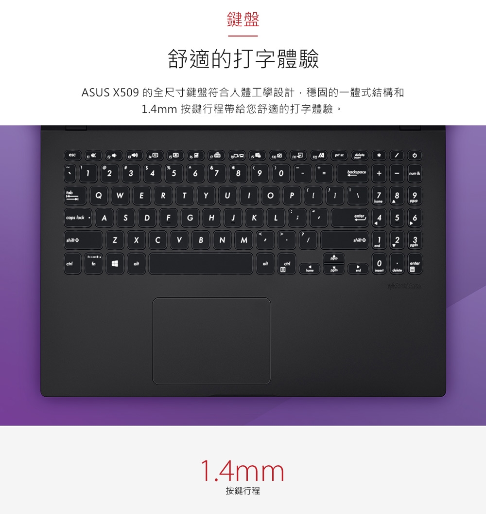 ASUS X509FJ 15吋筆電(i5-8265U/MX230/4G/1T+256G)