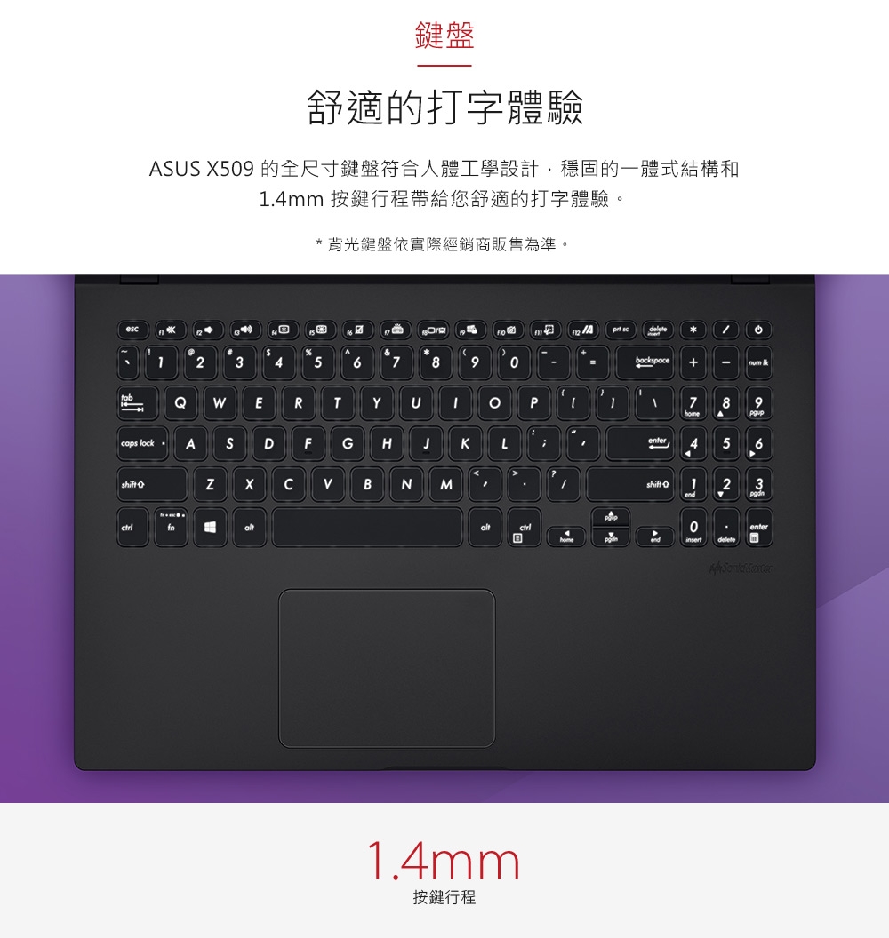 ASUS X509FB 15吋窄邊筆電 (i5-8265U/128G+1T/MX110)