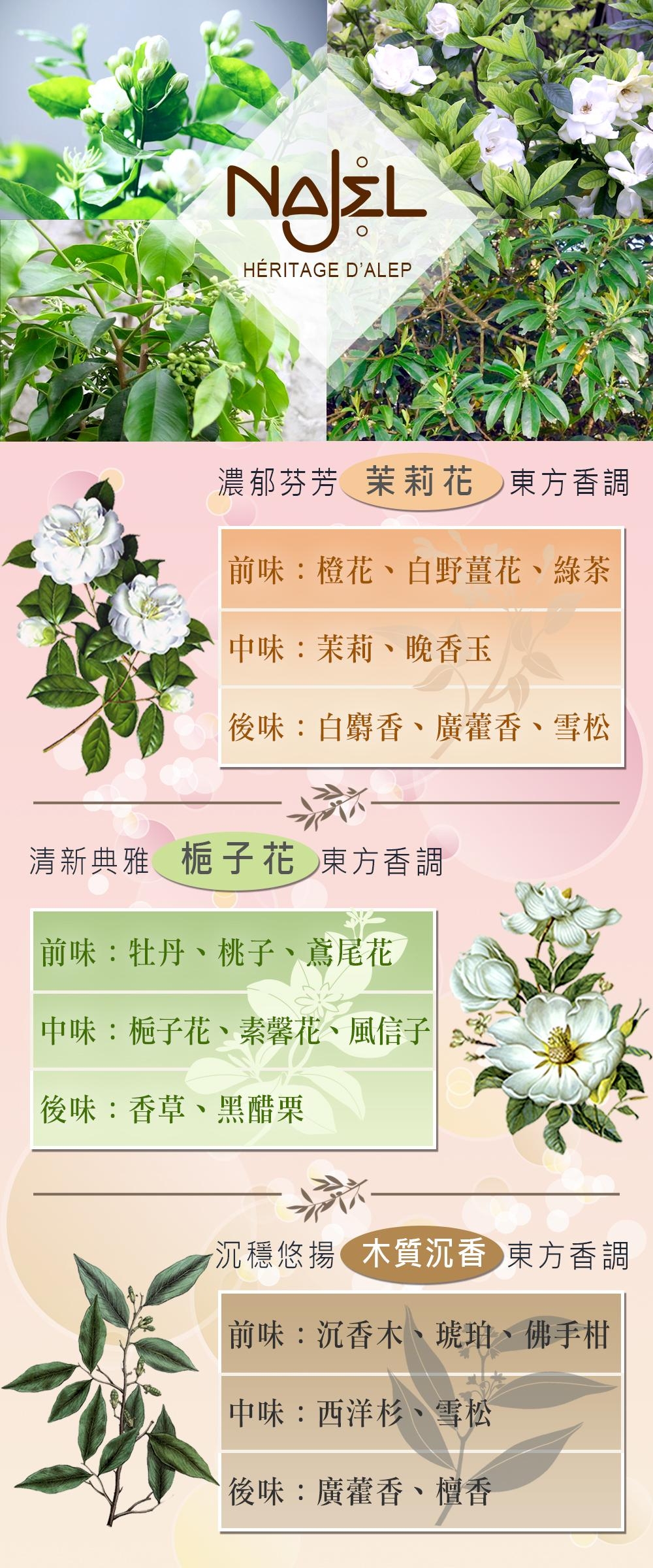 法國Najel茉莉花阿勒坡古皂洗髮露300ml三入