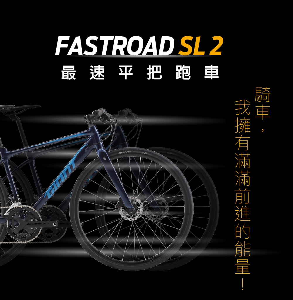 GIANT FASTROAD SL 2