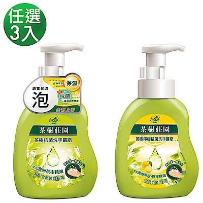 茶樹莊園 抗菌洗手慕斯3入組 (任選) product thumbnail 2