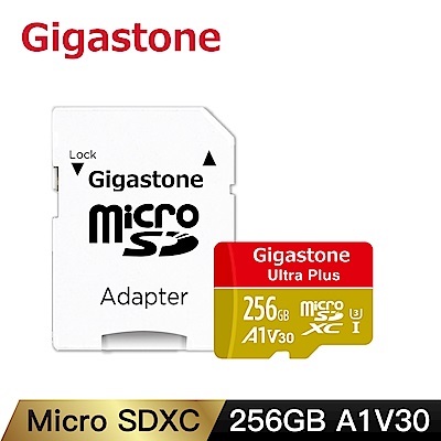 [超值兩入組]Gigastone microSDXC UHS-I U3 A1 V30 256G記憶卡(附轉卡)