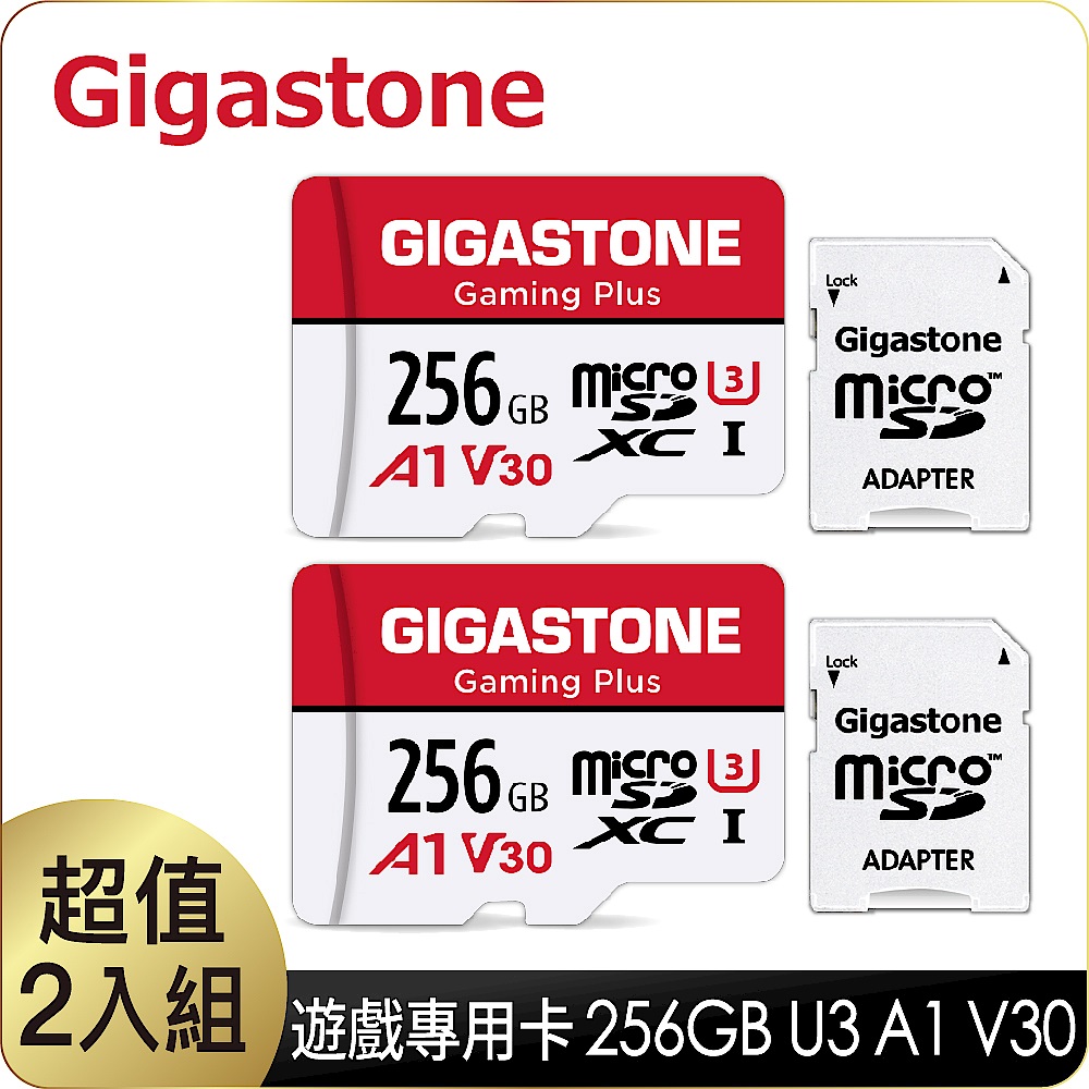 [超值兩入]Gigastone Gaming Plus microSDXC 256G 遊戲專用記憶卡(A1、V10、U1、支援Nintendo Switch) product image 1