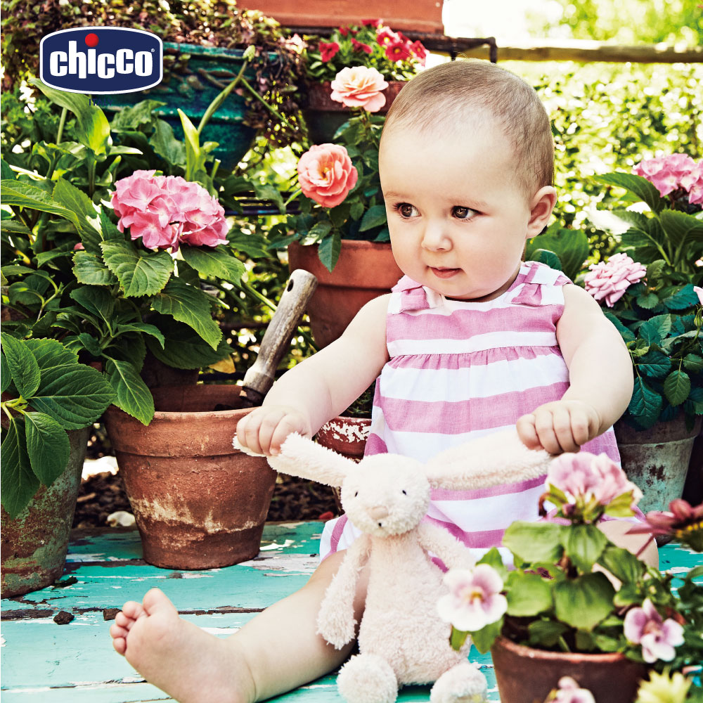 chicco-玫瑰庭園粉紅條紋短袖兔裝(3-12個月)