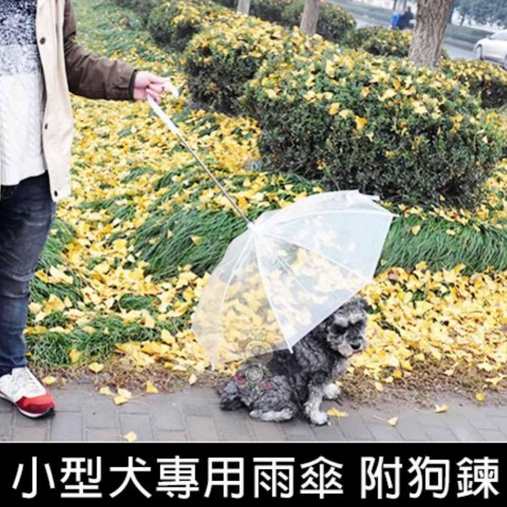 寵喵樂 小型犬專用寵物外出雨傘