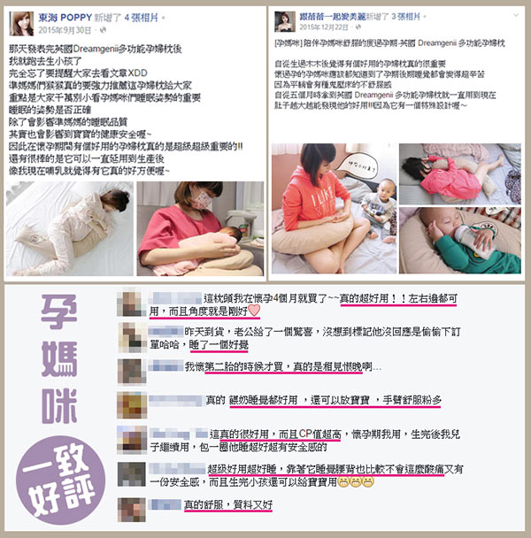 英國 Dreamgenii 多功能孕婦枕 (多款可選)