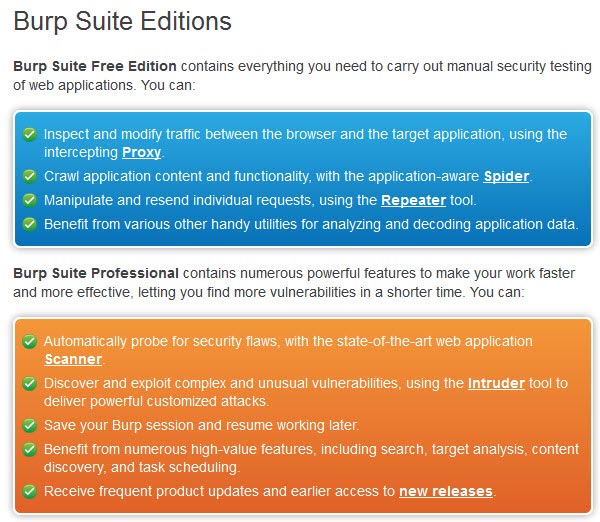 Burp Suite Professional(網頁弱點偵測)單機版(一年版)(下載)