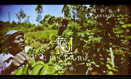 Gustare caffe嘉士德 精選阿拉比卡咖啡豆Arabica 1磅