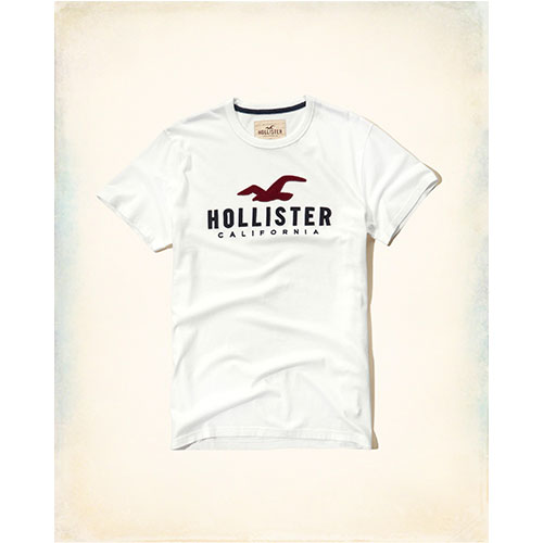 Hollister HCO 海鷗 經典大海鷗文字設計短袖T恤-白色