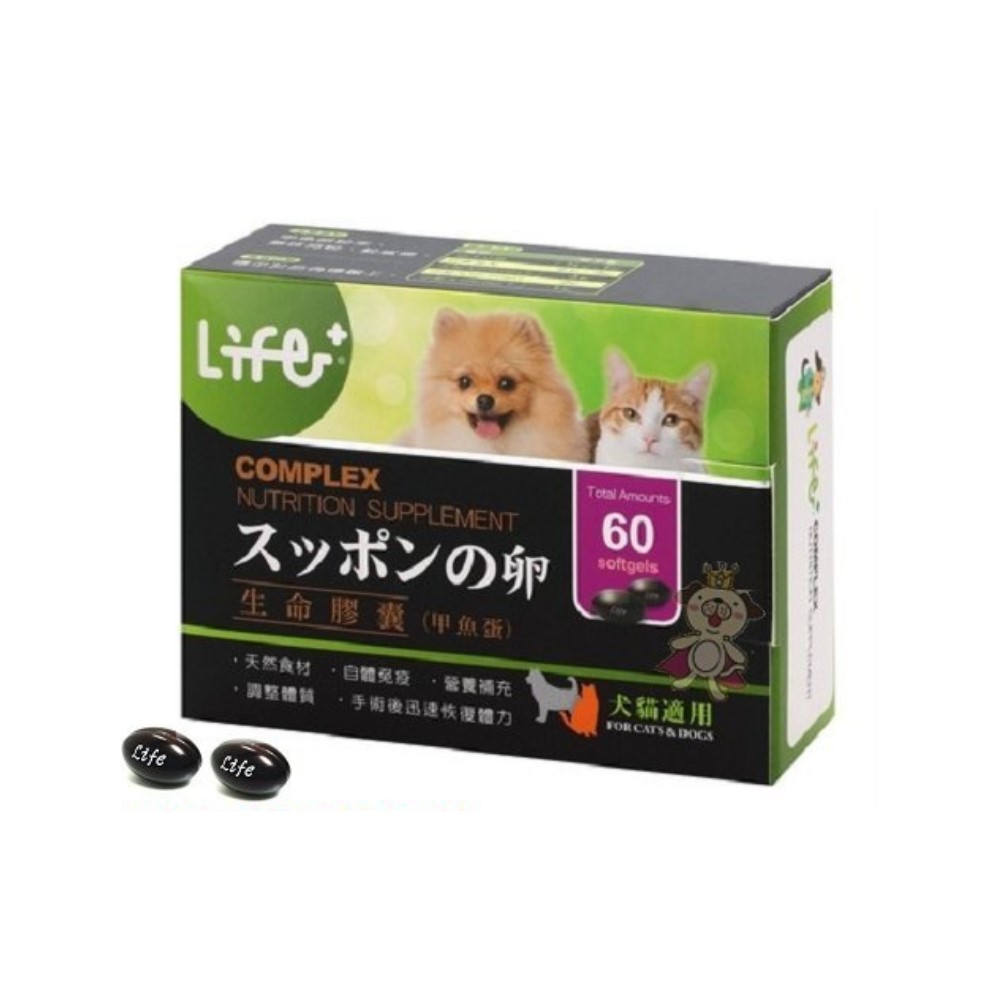 HUYANG虎揚《Life生命膠囊-鱉丹》動物性卵磷脂60粒