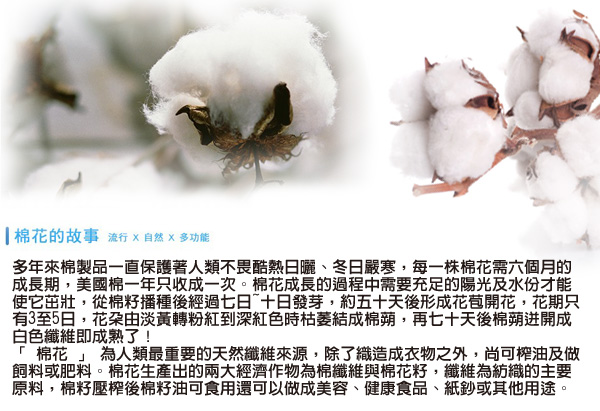 皮爾卡登 男童 100%純棉羅紋印花四角褲(混色6件組)-台灣製造