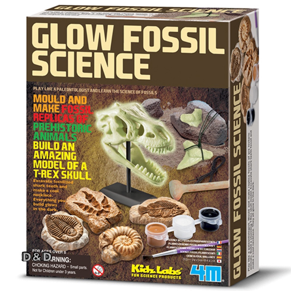 《4M挖掘考古》Glow Fossil Science 夜光化石科學