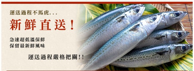 極鮮配888任選 挪威薄鹽鯖魚-中(140g/片)