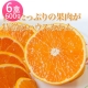 鄒頌 溫室日本愛媛縣 早生夢未來蜜柑橘 600g (六盒入) product thumbnail 1