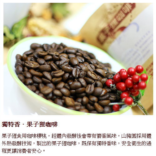 【台東果子狸】台灣深海咖啡豆(半磅x2包)