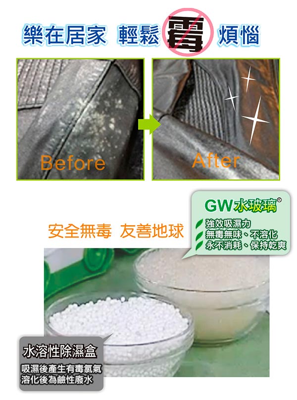 GW 水玻璃 無線式乾鞋機 E-150(兩雙)