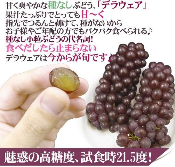 【天天果園】日本溫室珍珠葡萄 x1kg (約5~7串)