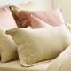 Cozy inn 簡單純色-奶茶金-200織精梳棉枕頭套-2入 product thumbnail 1