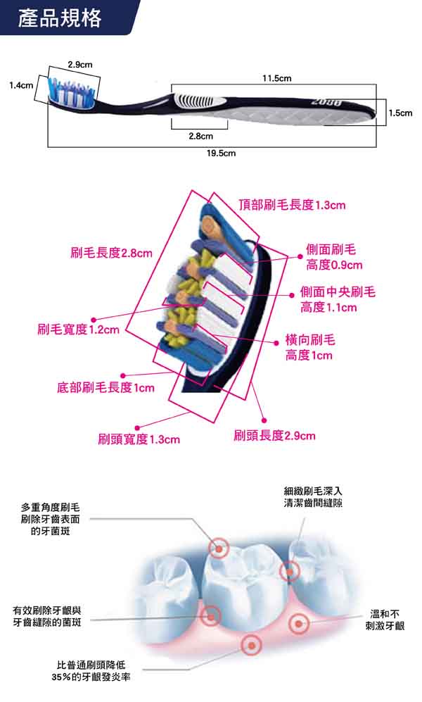 韓國2080 9動向極致清潔牙刷(1入)