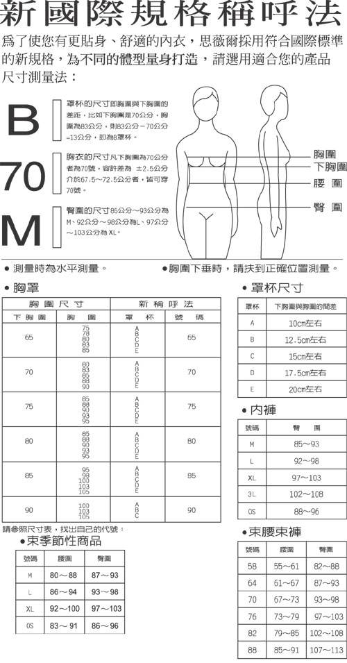 思薇爾 撩波系列A-C罩內衣(普藍灰)