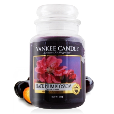 YANKEE CANDLE香氛蠟燭-黑莓623g