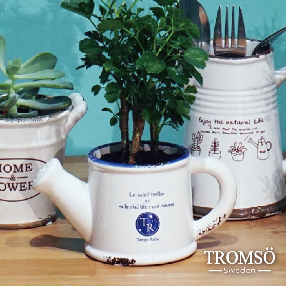 TROMSO-南法鄉村陶瓷收納罐-澆花水壺藍